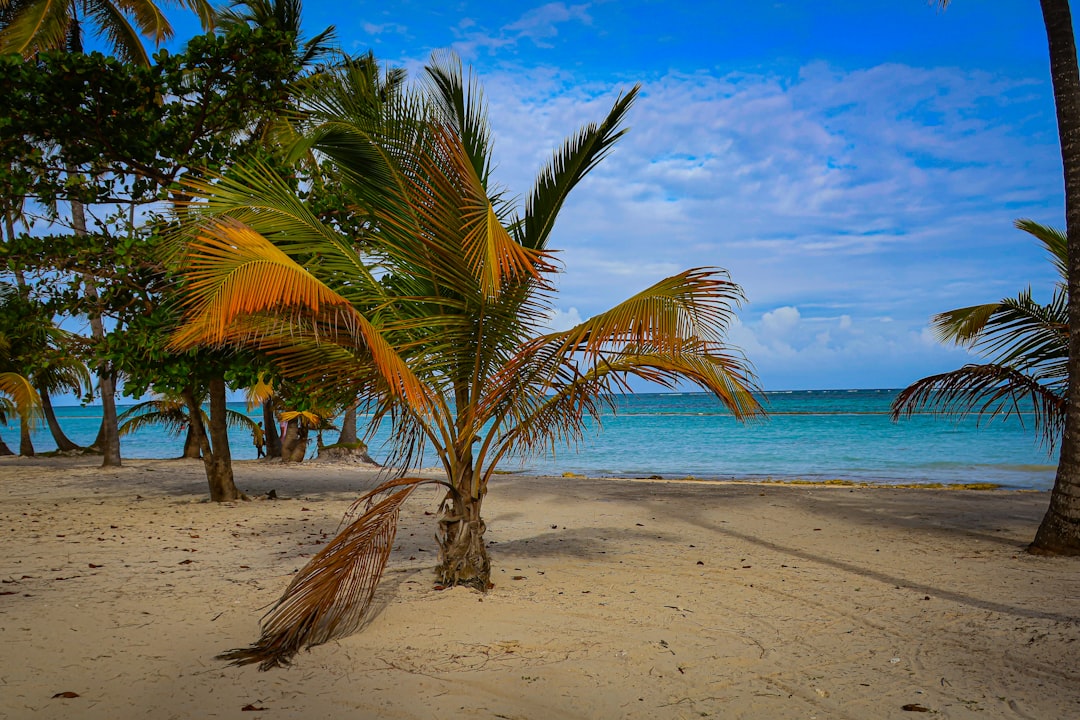 The Dominican Republic's Mysterious Deaths (image credits: unsplash)