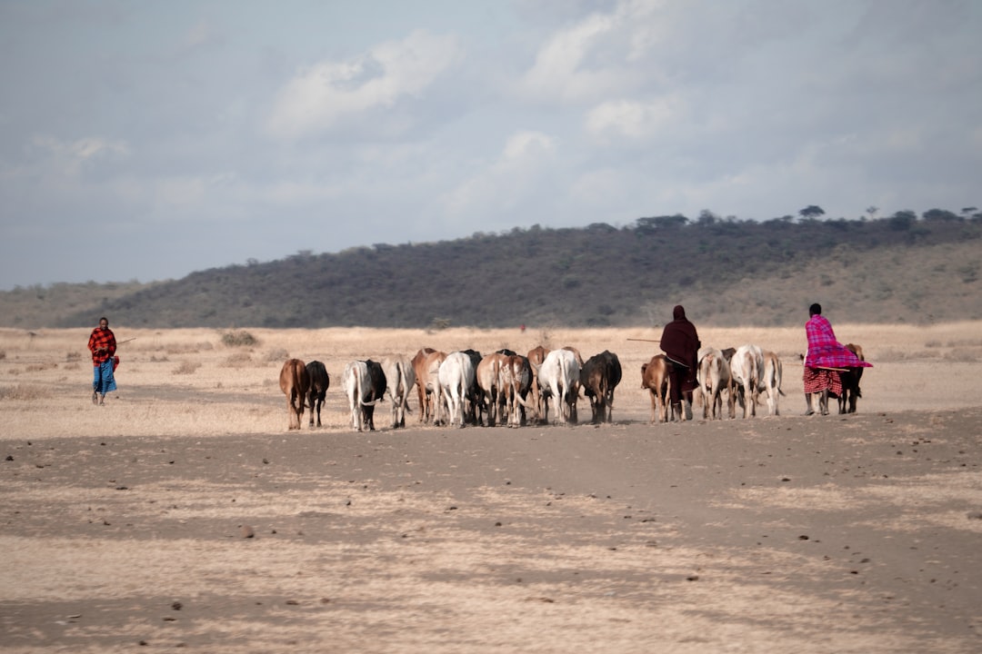 Somalia When the Rains Stop Coming (image credits: unsplash)