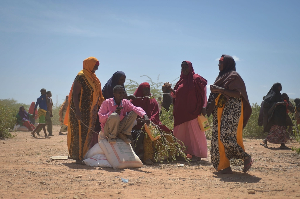 The Human Toll: Stories of Displacement and Loss (image credits: rawpixel)