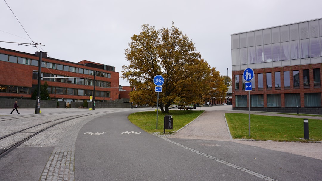 Finland: The Education Model (image credits: unsplash)