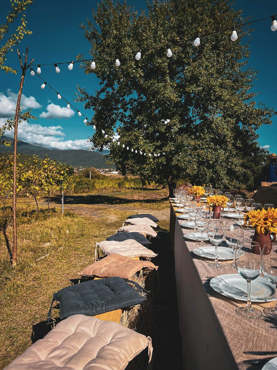 Insider Wine Country Tips (image credits: unsplash)
