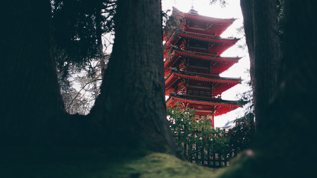 Japan Mindful Moments (image credits: unsplash)