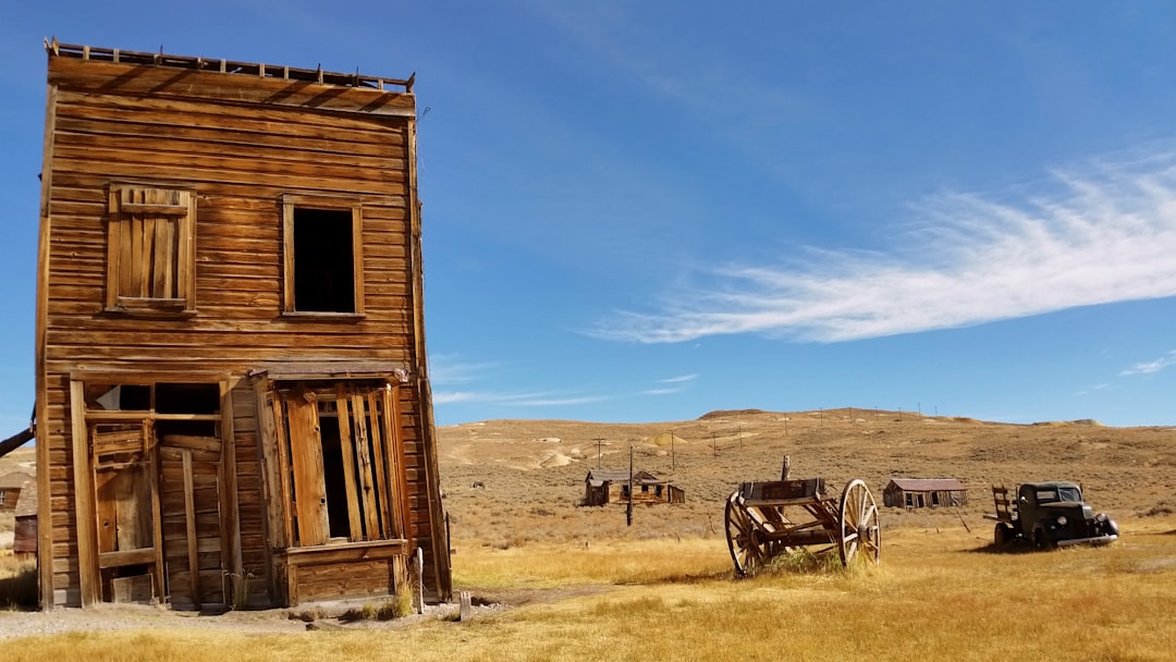 Ghost Towns: Where the Past Lives On (image credits: unsplash)