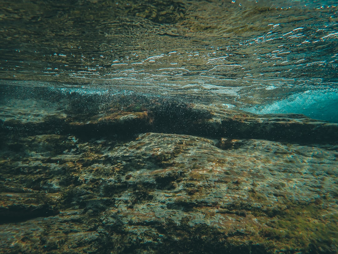 13. Biscayne National Park - The Underwater Park You Can't See (image credits: unsplash)