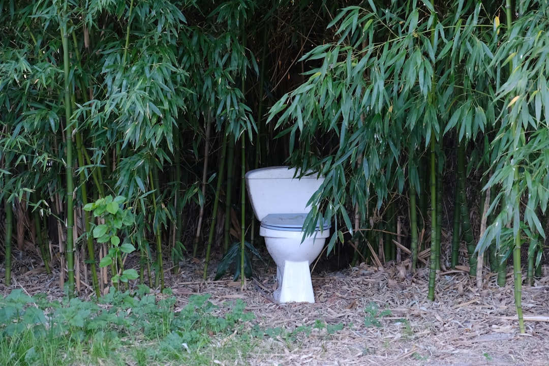 Human Waste Disposal Has Federal Standards (image credits: unsplash)