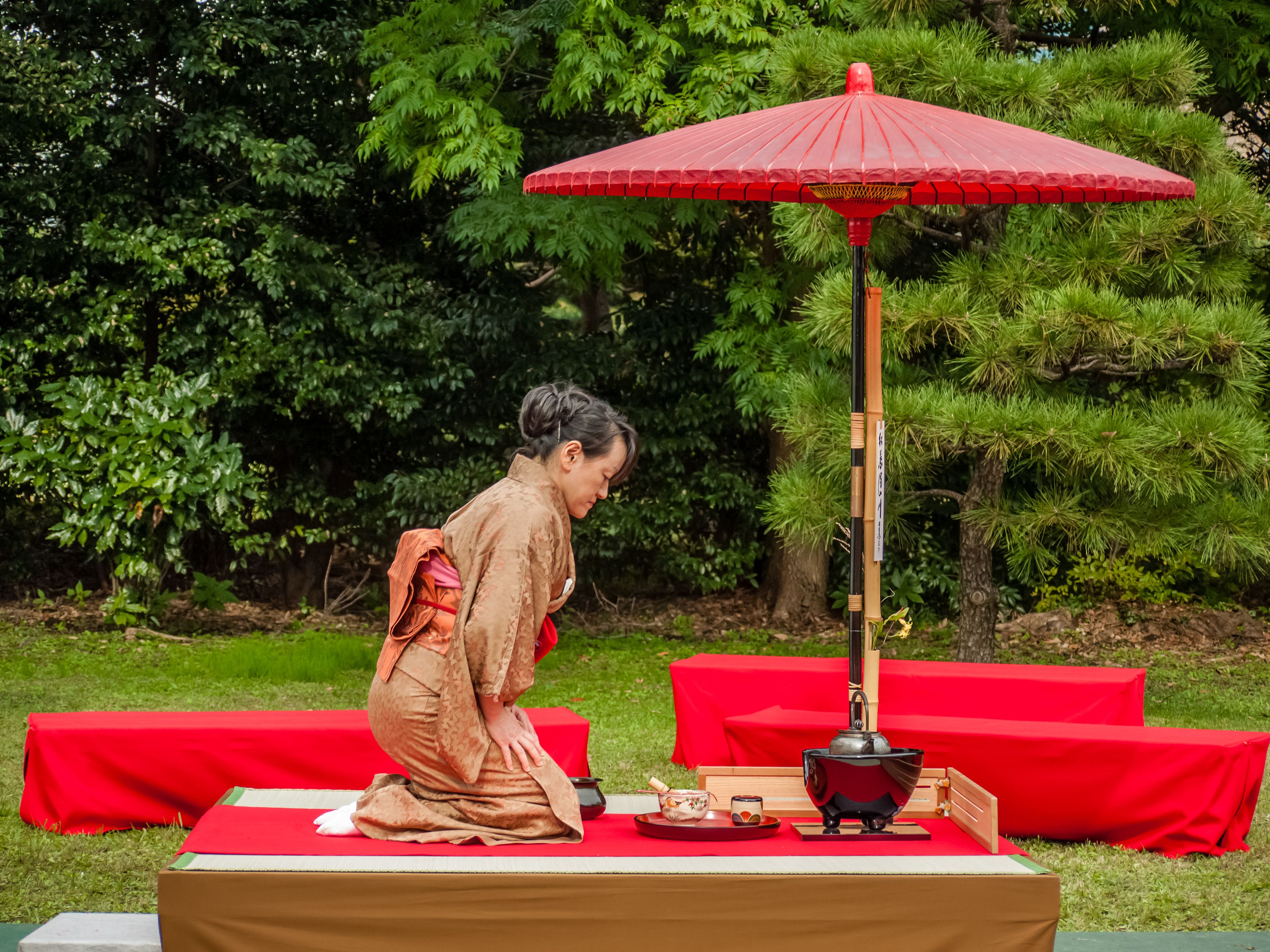 Japan: Tradition and Modernity in Harmony (image credits: wikimedia)