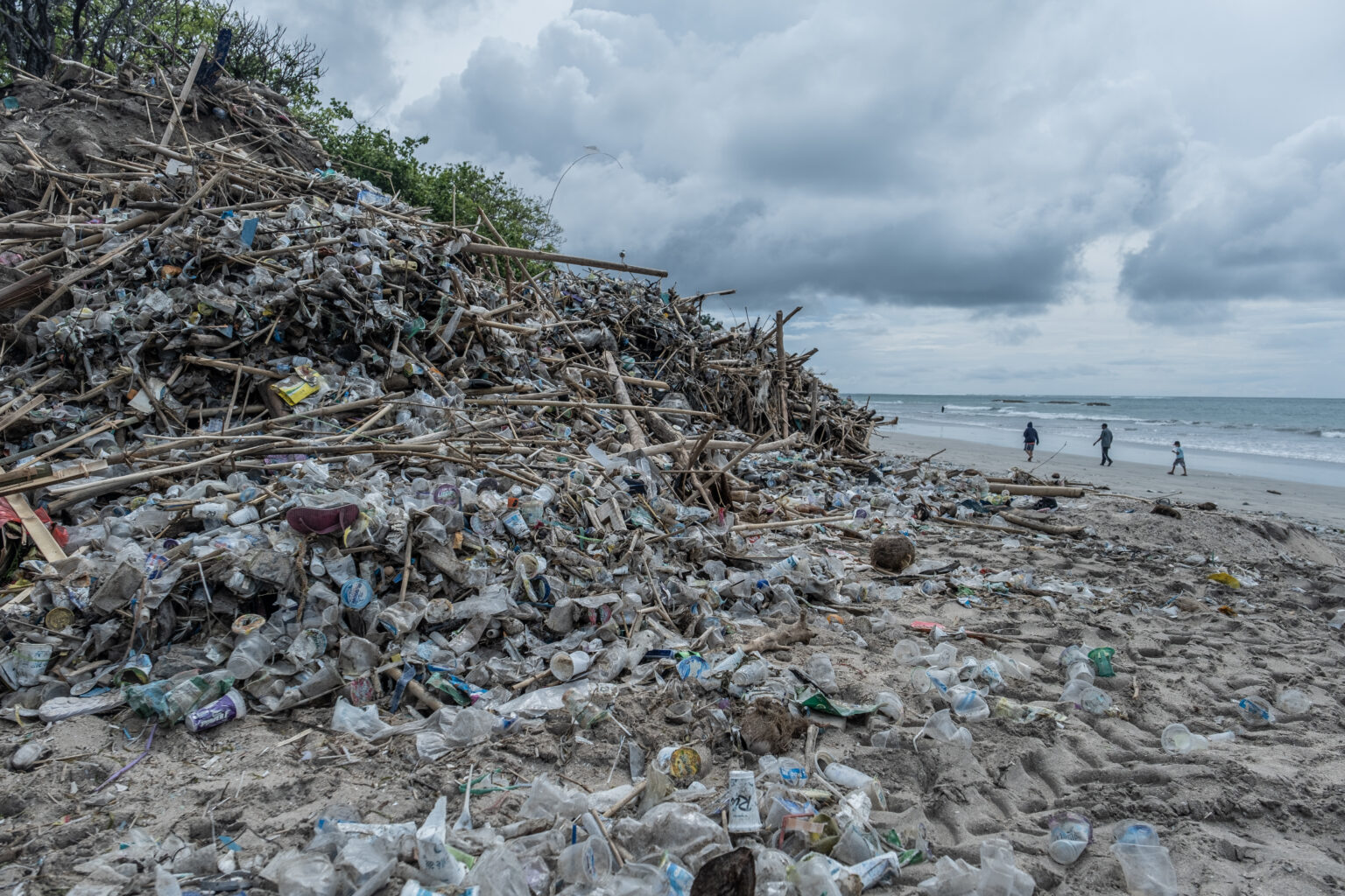 Environmental Degradation (image credits: wikimedia)