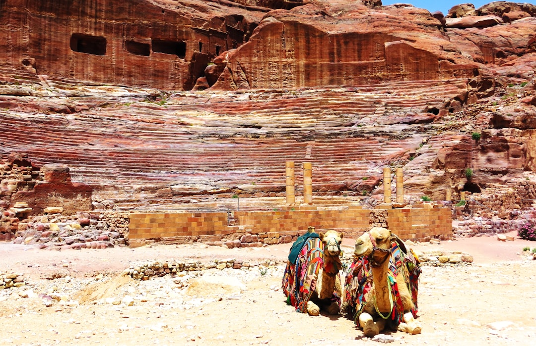 Jordan Ruins, Roses, and Desert Silence (image credits: unsplash)