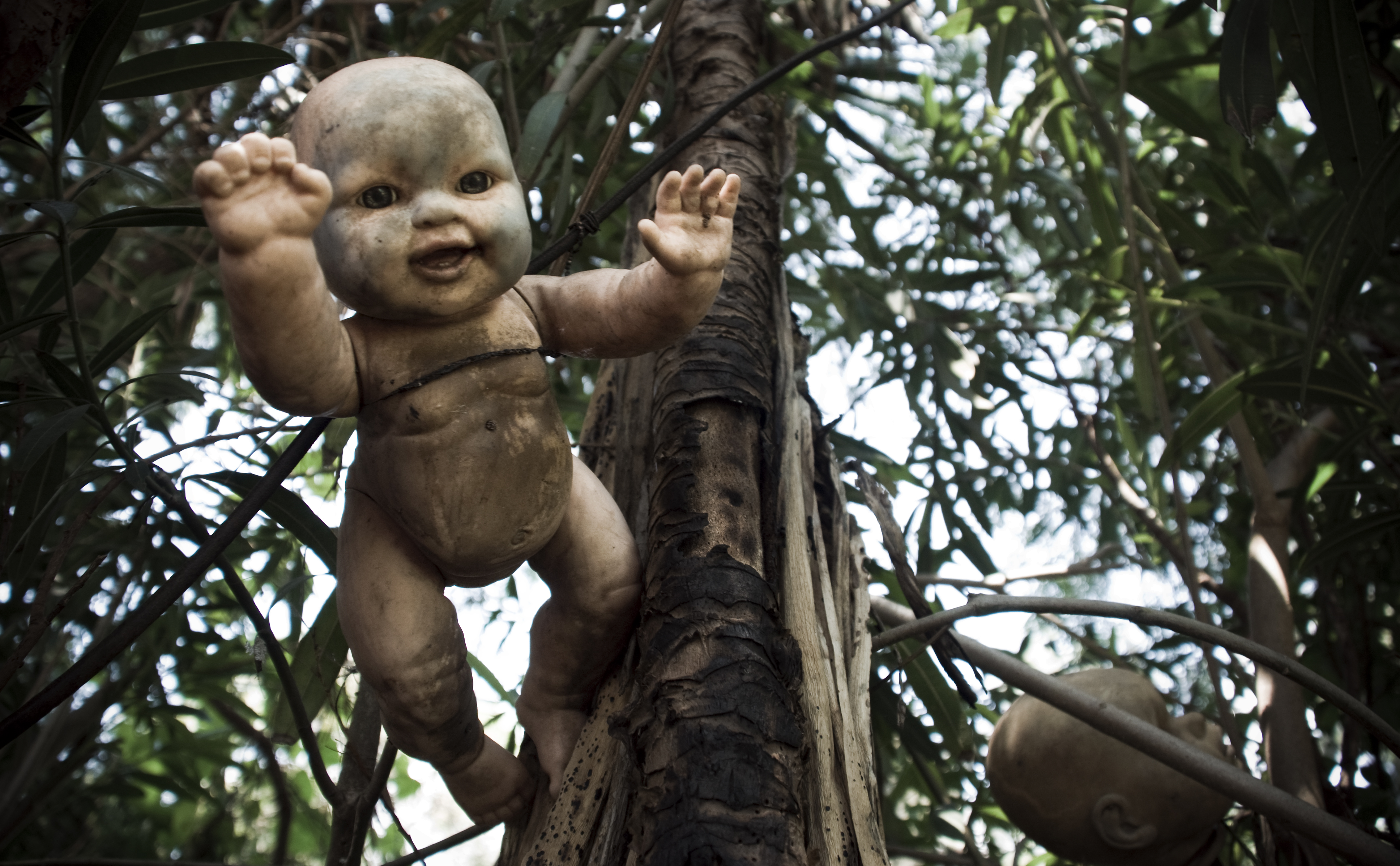 The Island of the Dolls, Mexico (image credits: wikimedia)