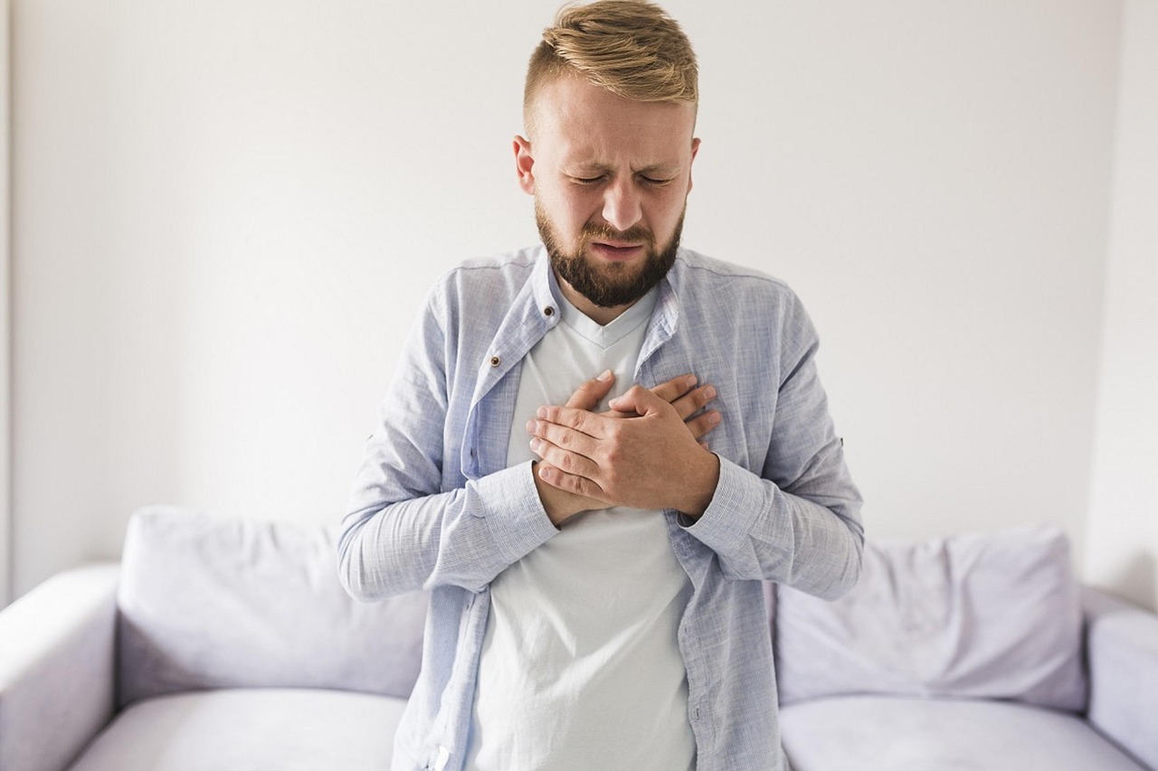 Overly Rich or Fatty Foods Causing Digestive Issues (image credits: pixabay)