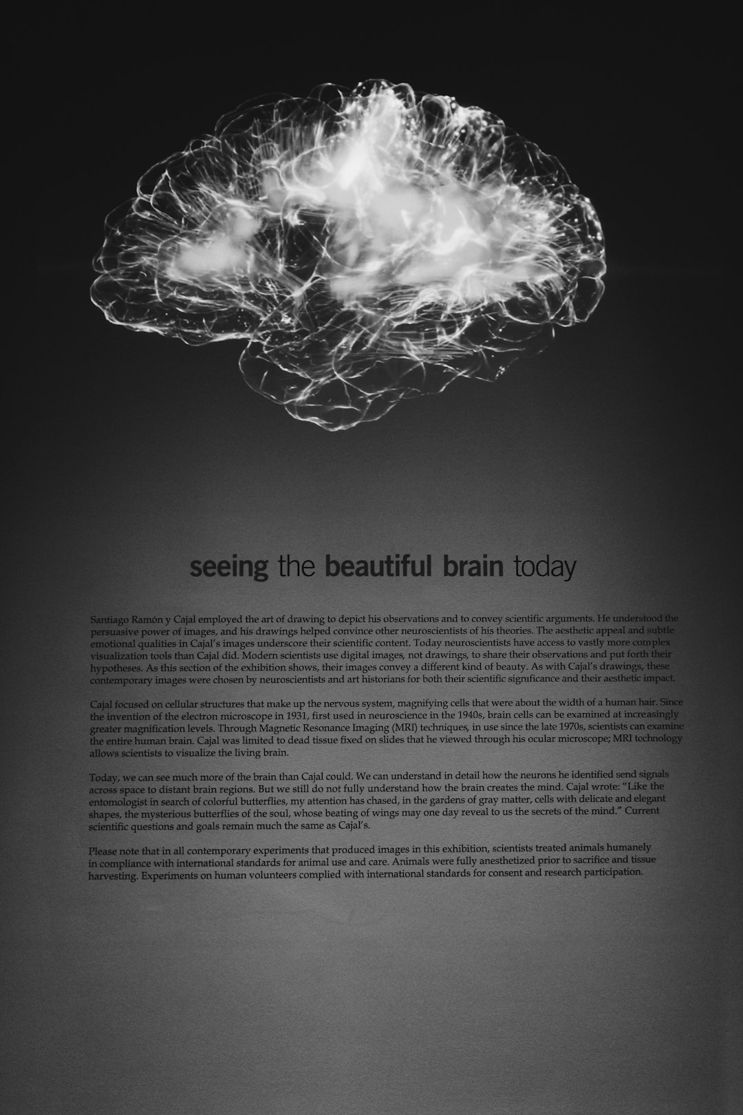 1. Teaching or Tutoring Others - The Ultimate Brain Challenge (image credits: unsplash)