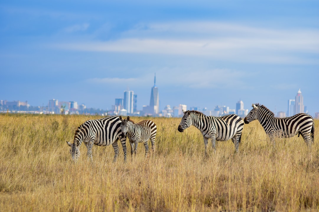 Nairobi, Kenya (image credits: unsplash)