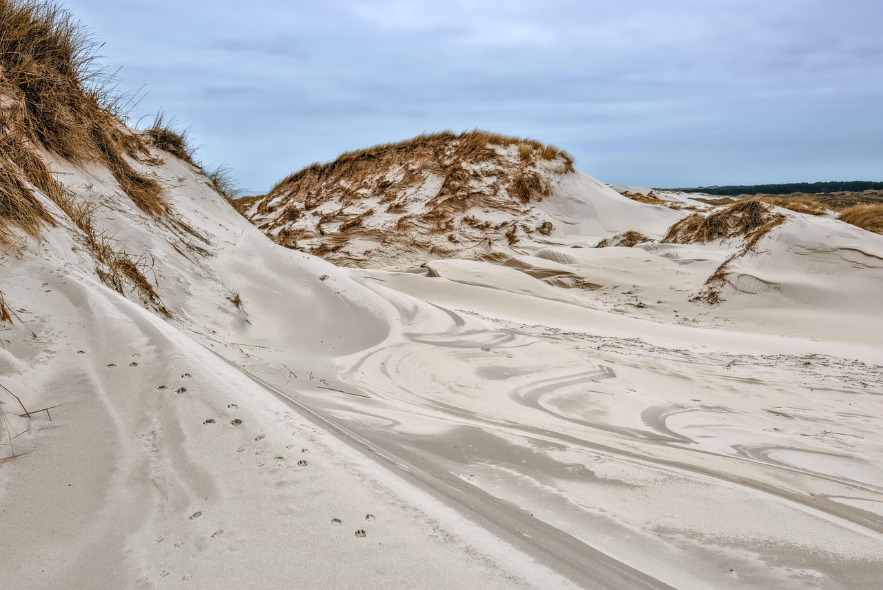 Geological Oddities: Land Sculpted by Time and Tide (image credits: pixabay)