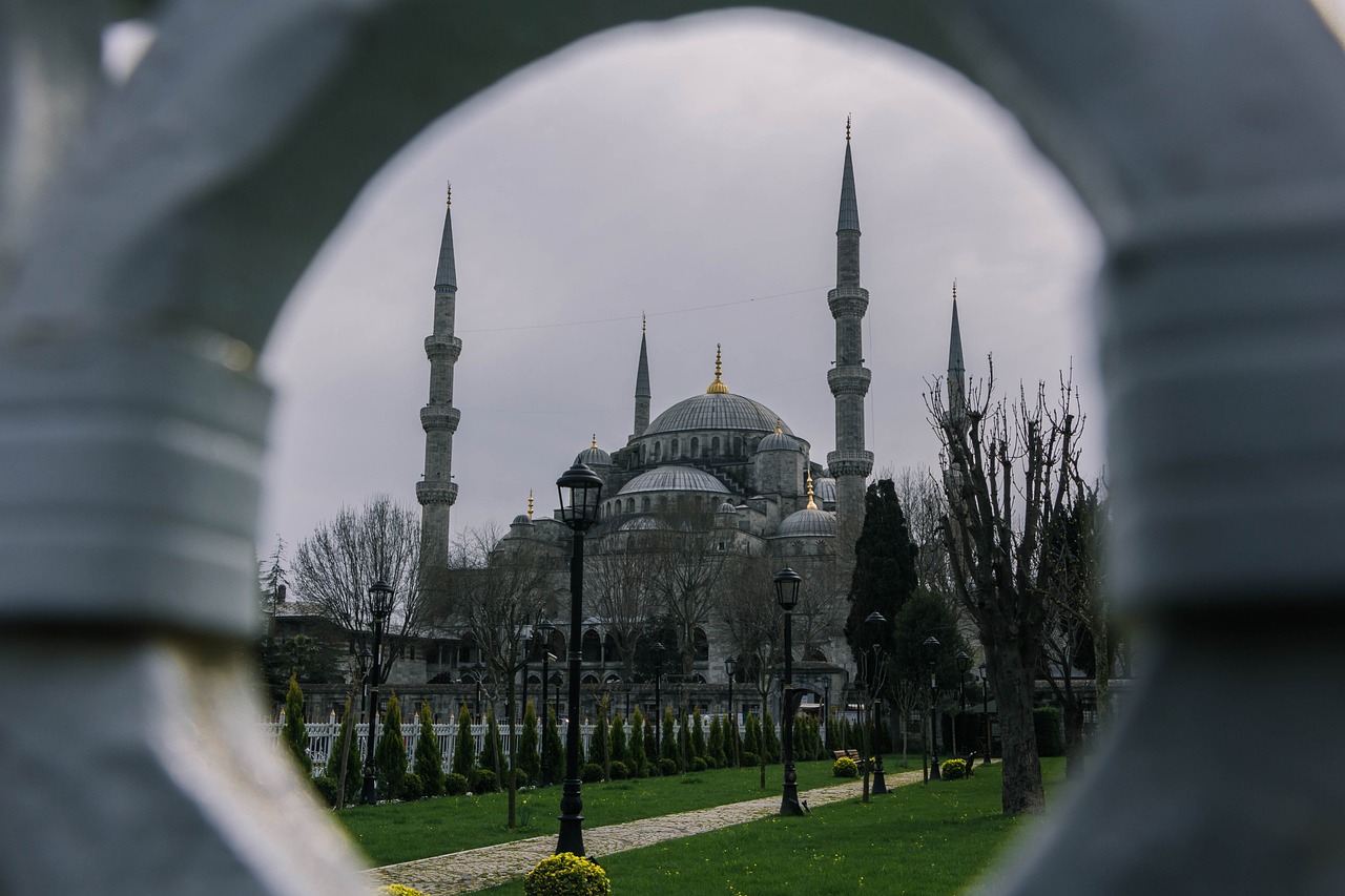 Turkey: A Complex Landscape (image credits: pixabay)