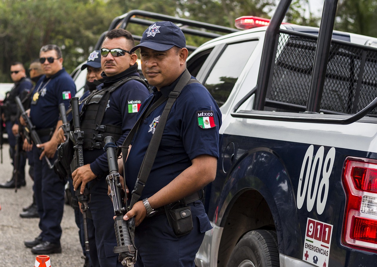 What the Mexican Government Is Doing (image credits: pixabay)