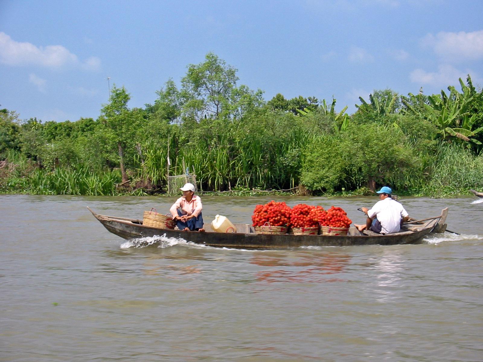 Vietnam Senses on Overdrive (image credits: wikimedia)