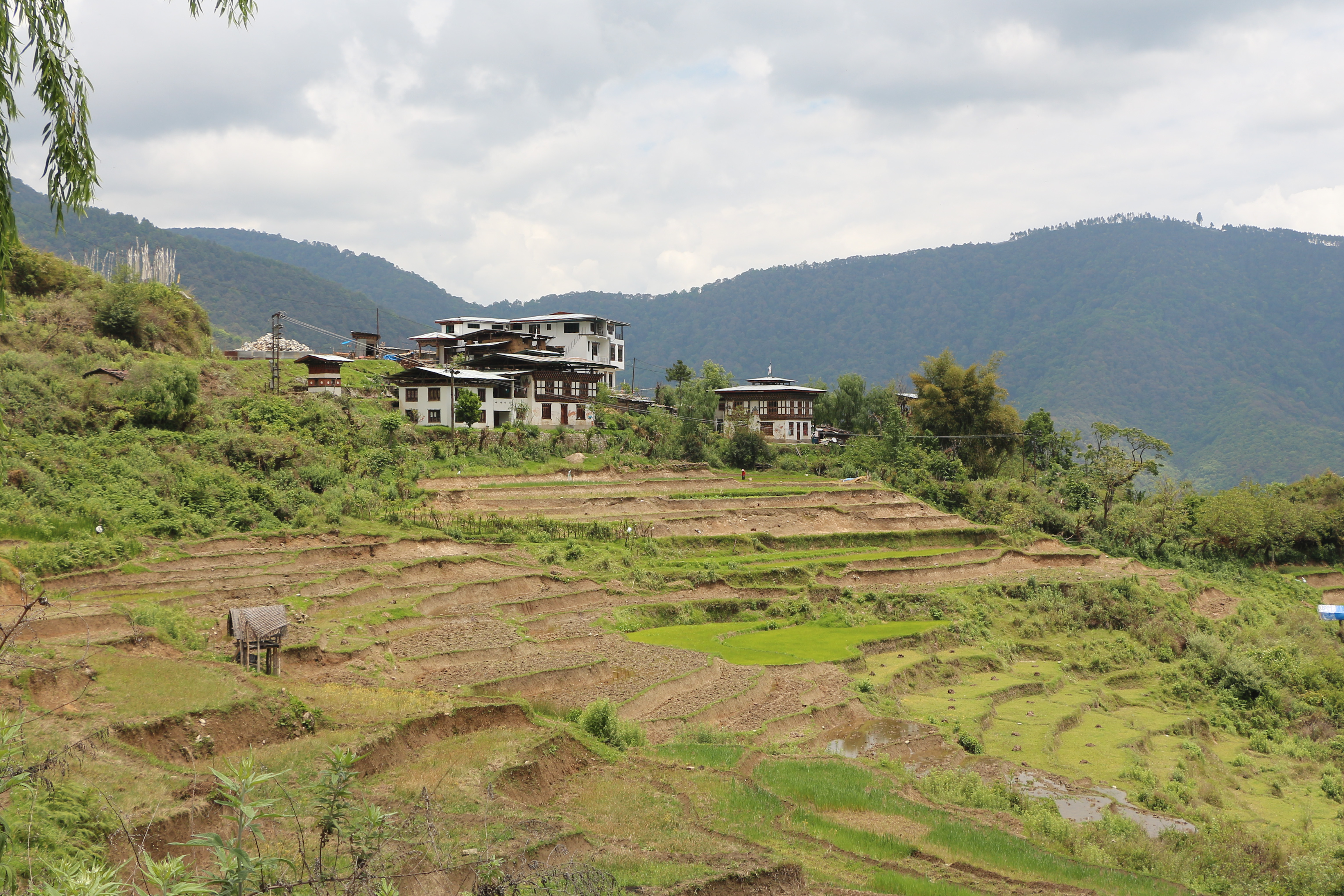 Bhutan: The Pursuit of Happiness Over Mass Tourism (image credits: wikimedia)