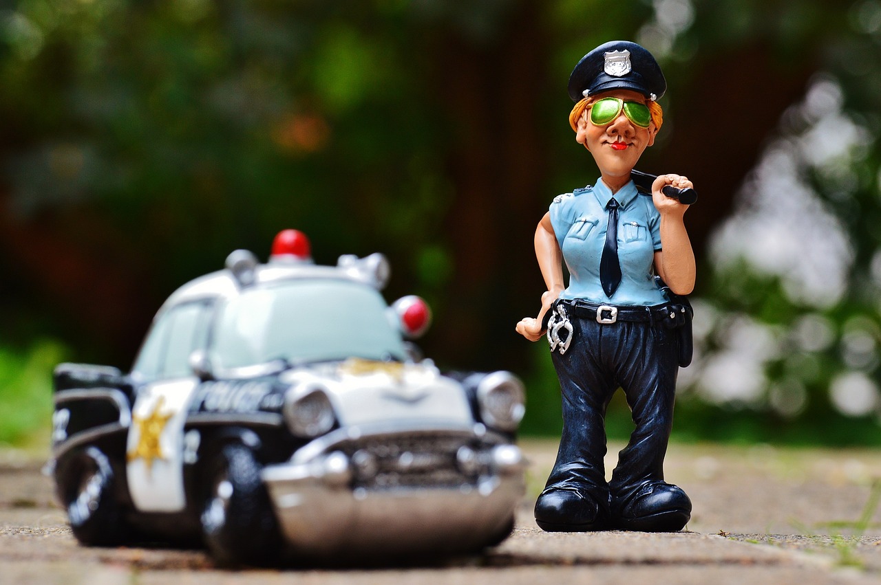 Safety and Security (image credits: pixabay)