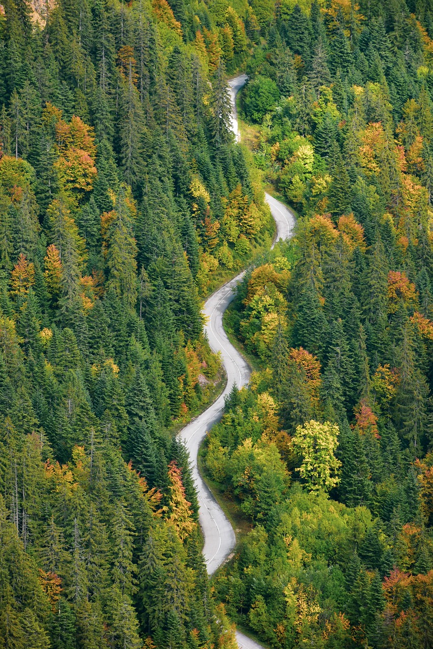 4. Instead of Swiss Alps → Try Bosnia & Herzegovina (image credits: pixabay)