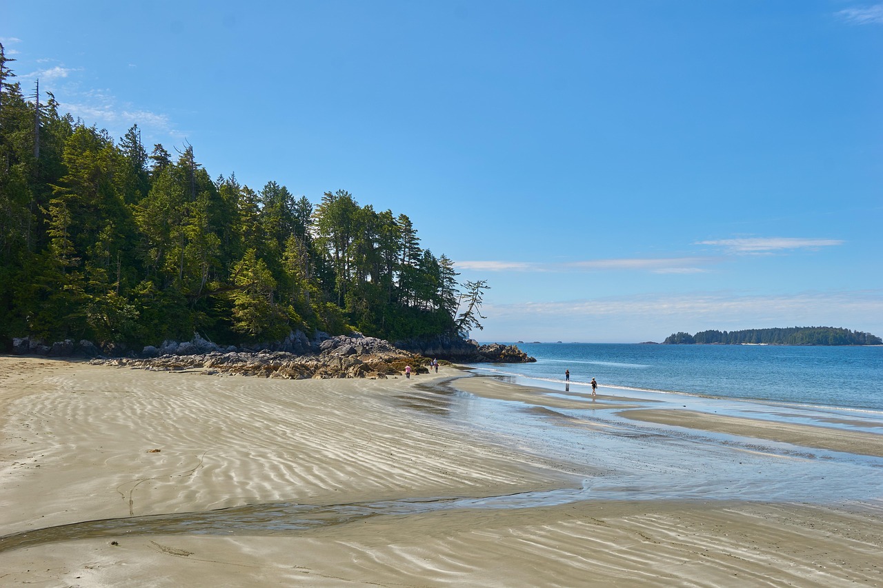 Tofino, British Columbia (image credits: pixabay)