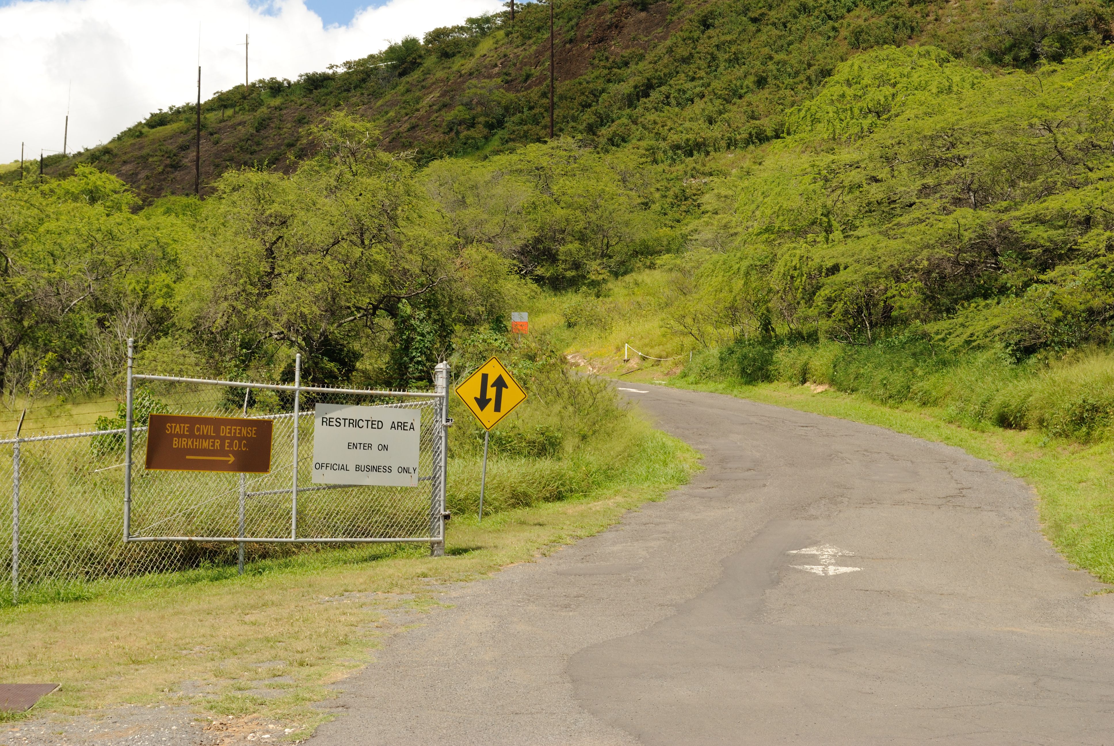 Travel Restrictions and Regulations (image credits: wikimedia)