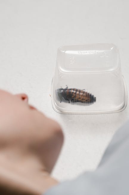 Houston Takes the Crown as America's Cockroach Capital (image credits: pexels)