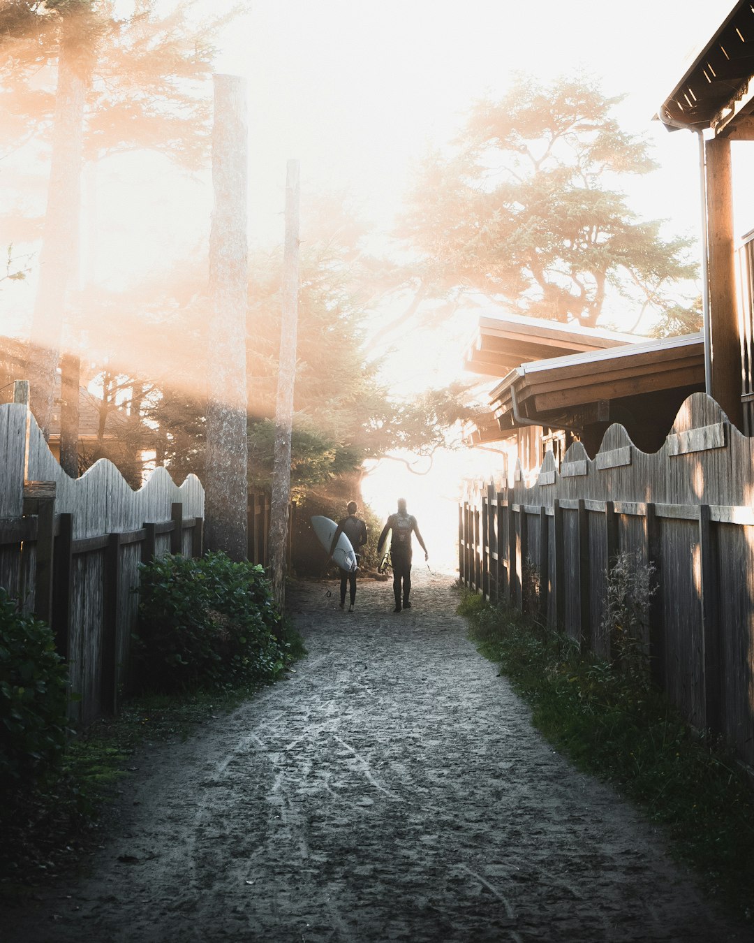 Tofino, British Columbia (image credits: unsplash)