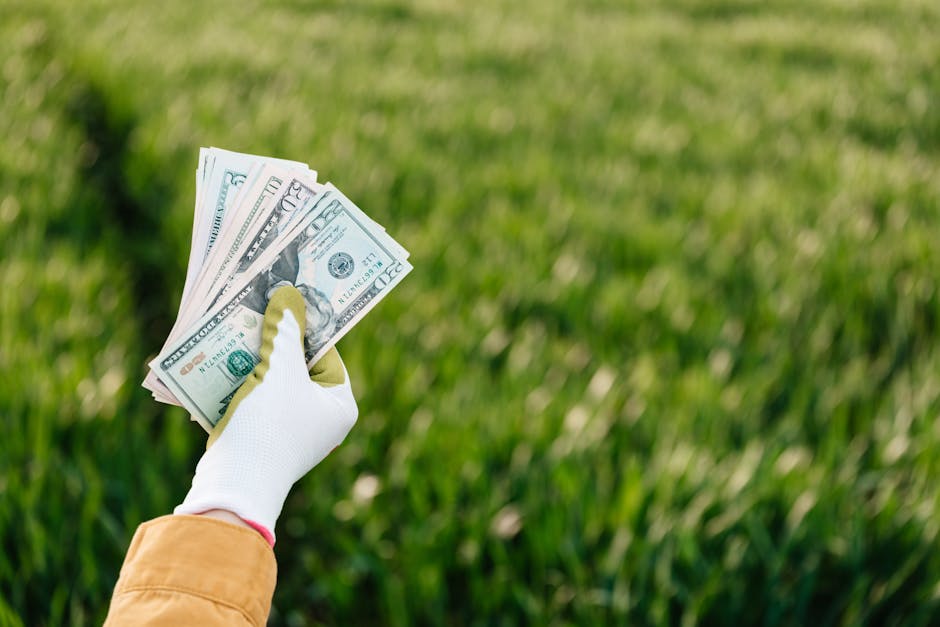 Conclusion: Your Garden's Money-Saving Transformation Awaits (image credits: pexels)
