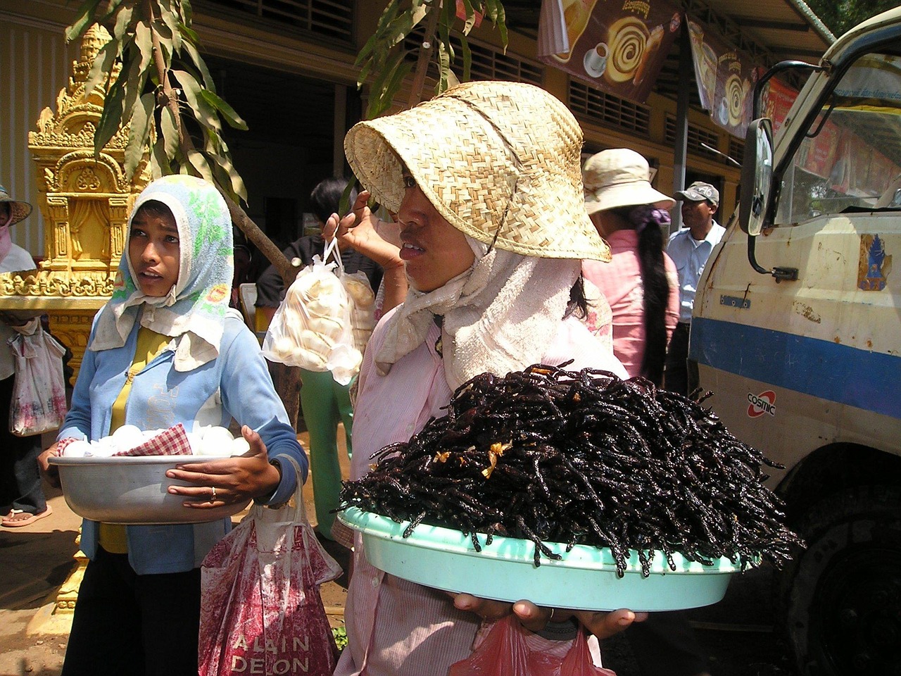 Fried Tarantulas (image credits: pixabay)