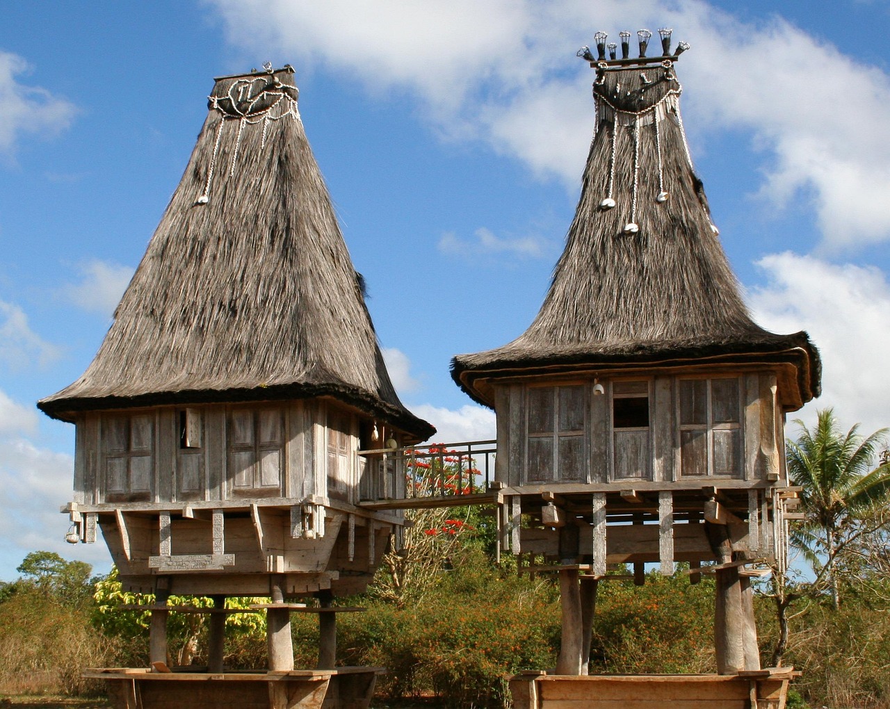 Timor-Leste: A Young Nation with a Rich Past (image credits: pixabay)