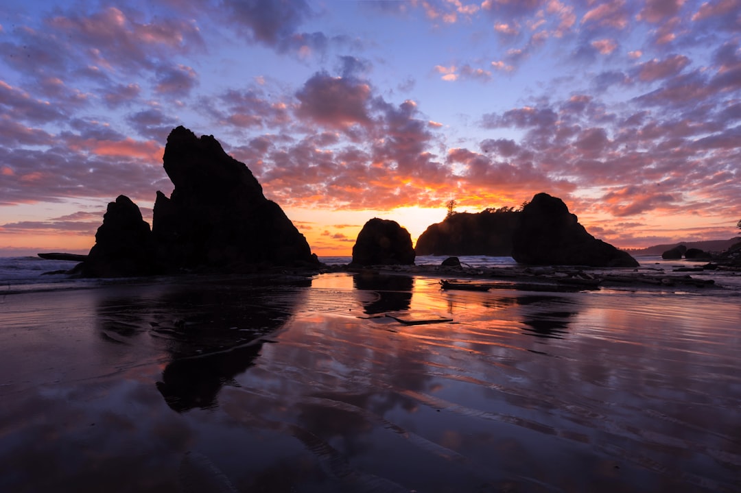 Olympic National Park, Washington (image credits: unsplash)