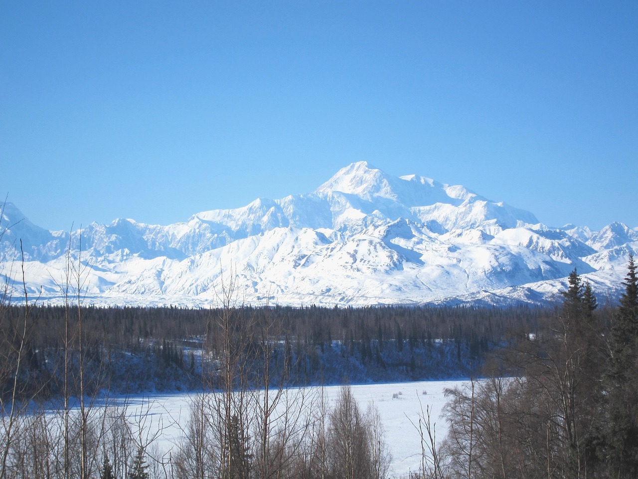 Denali National Park, Alaska (image credits: pixabay)