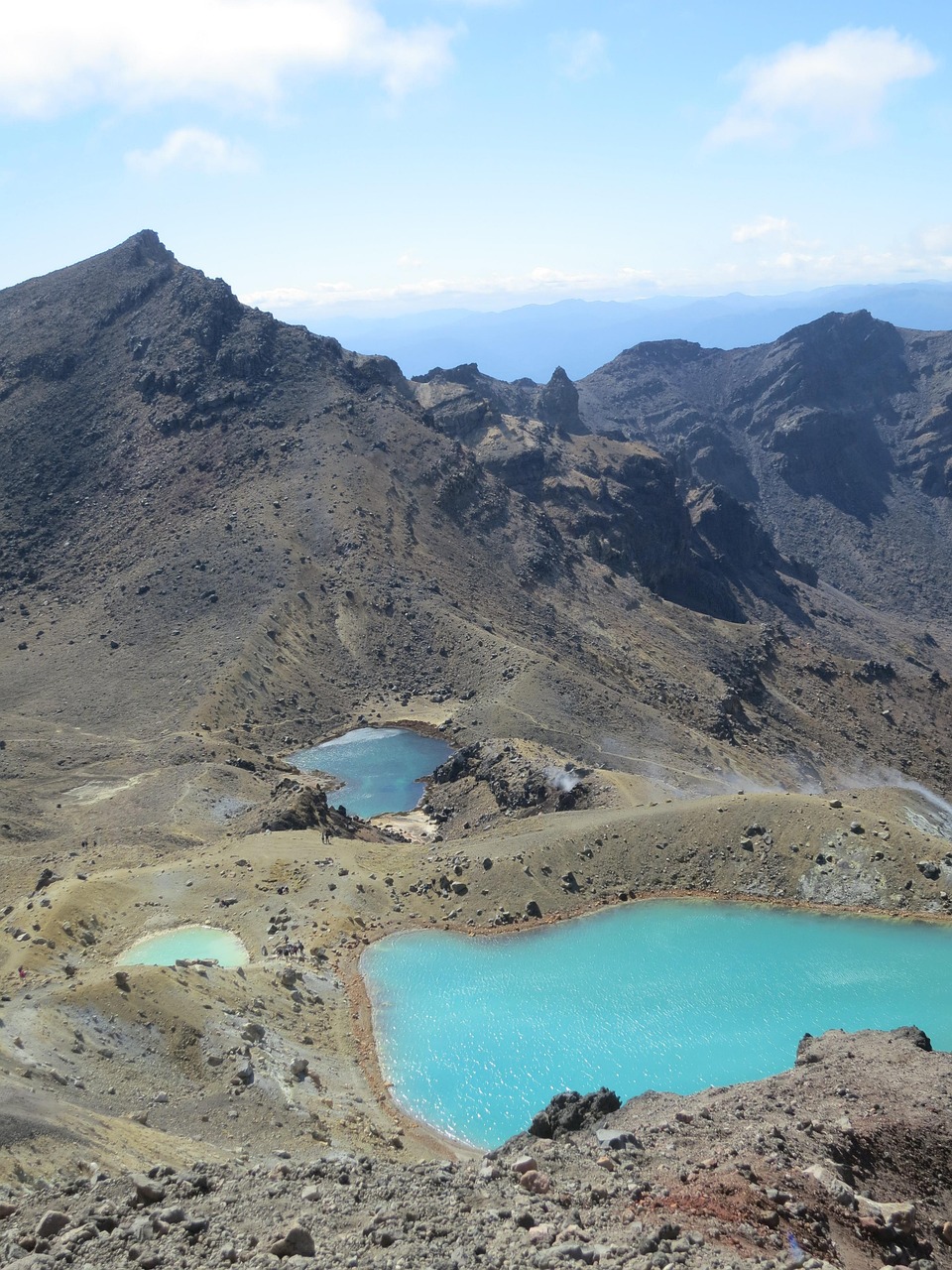 New Zealand’s Visitor Levy and National Park Caps (image credits: pixabay)