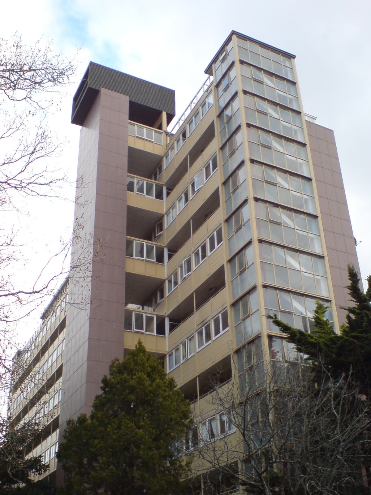 New Zealand: A Crisis With No End in Sight (image credits: wikimedia)