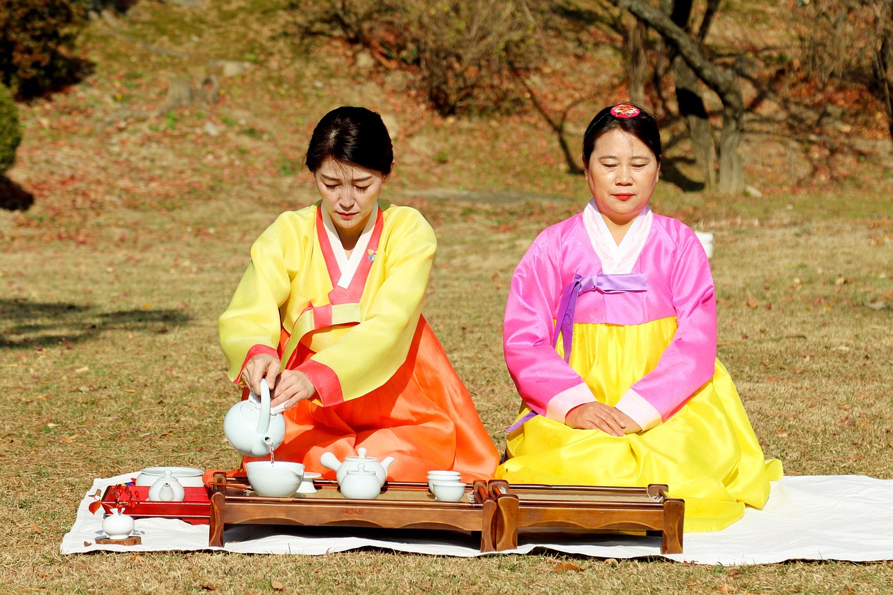 8. The Role of Women in North Korean Society (image credits: pixabay)