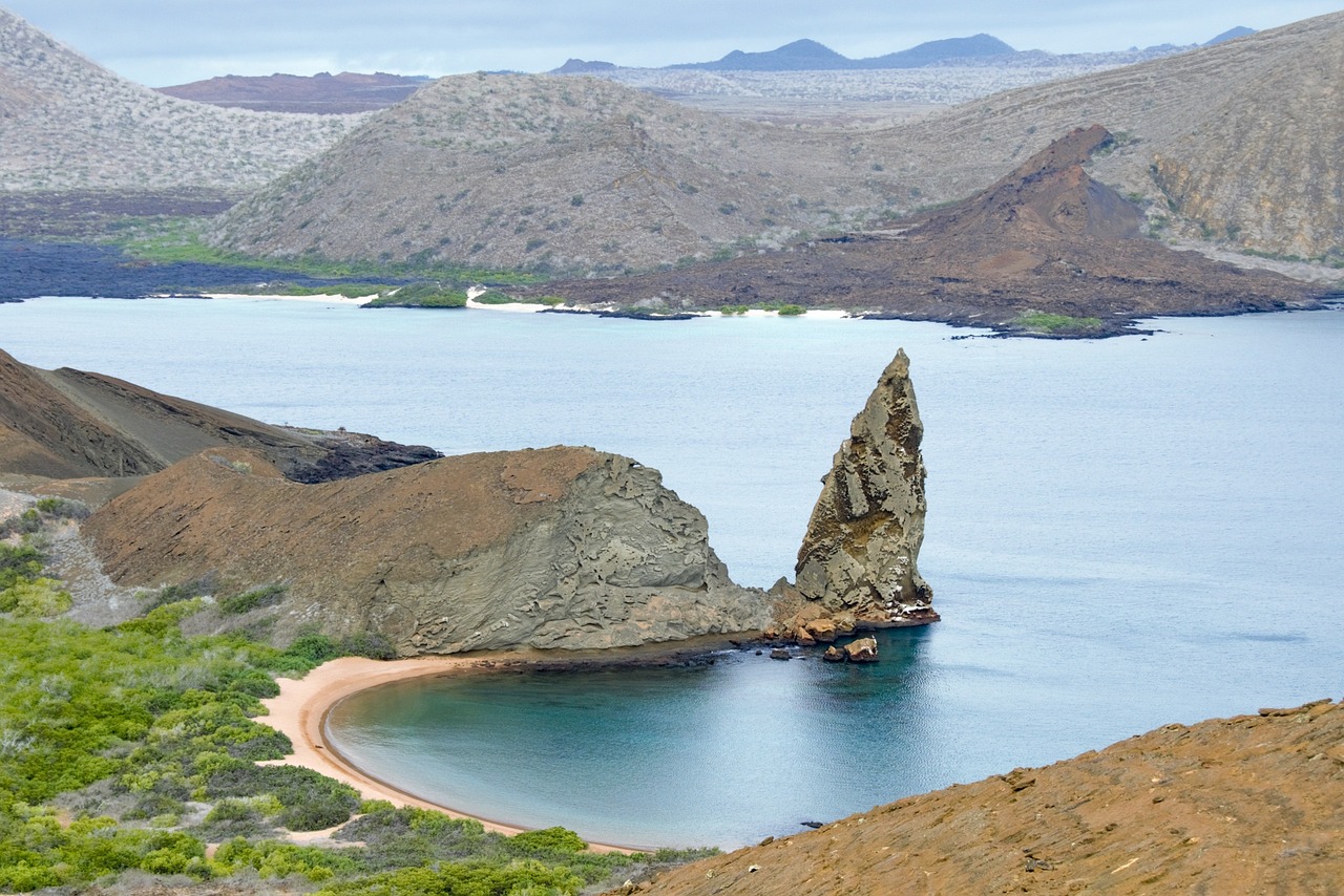 Case Study: The Galápagos Model (image credits: pixabay)