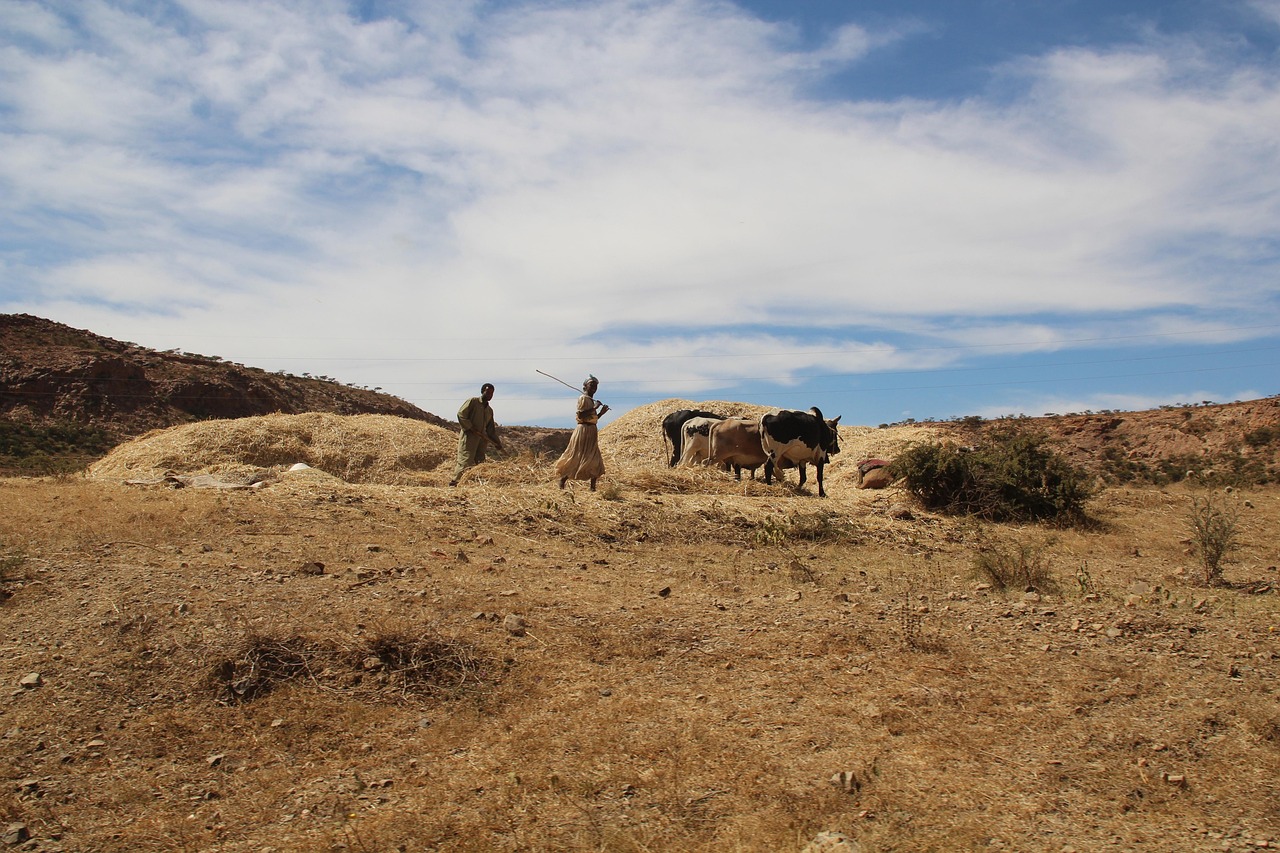 Eritrea: A Hidden Gem with Restrictions (image credits: pixabay)