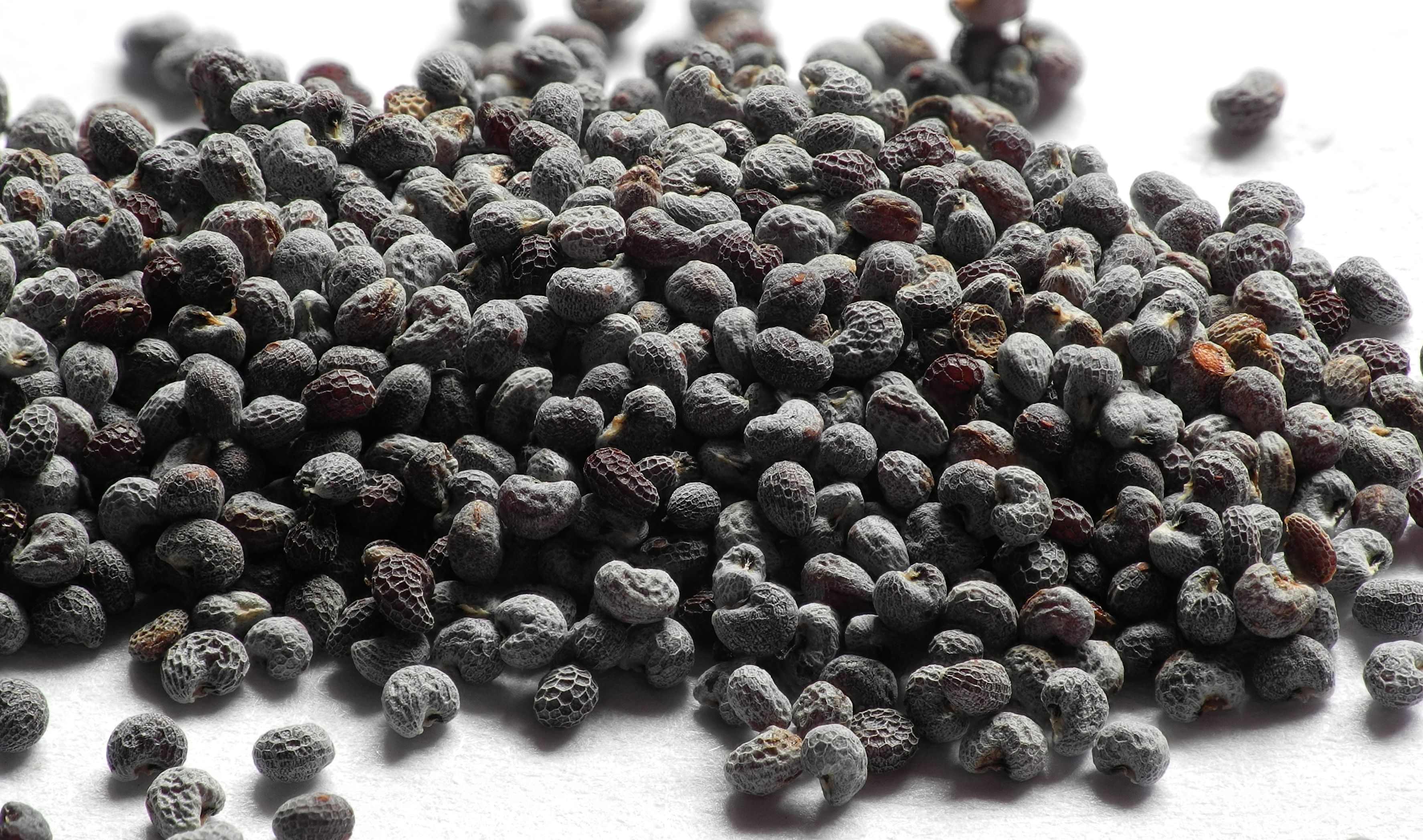 Your favorite muffin ingredient is a serious crime in some places (image credits: wikimedia)