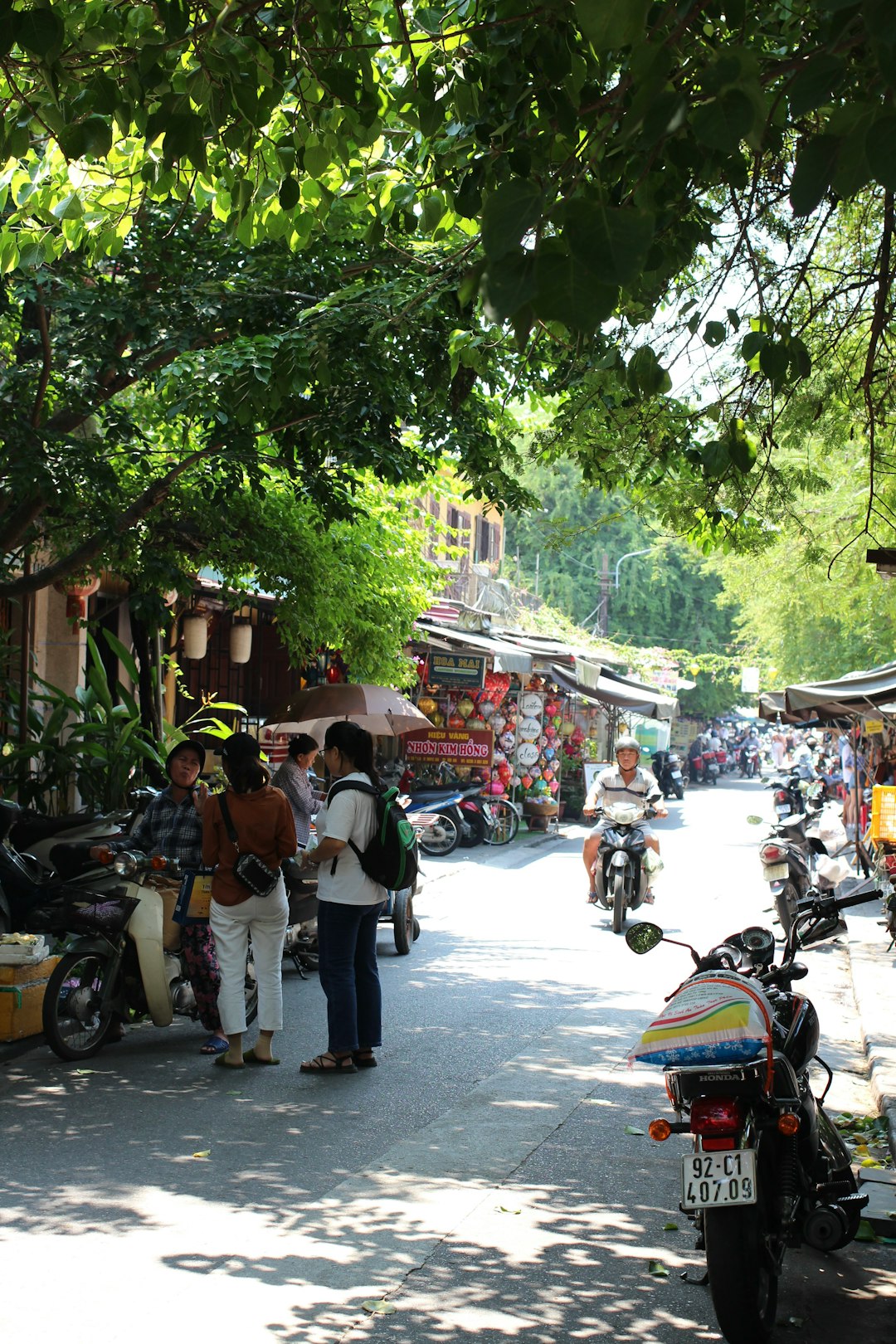 Vietnam: A Cultural and Culinary Haven (image credits: unsplash)