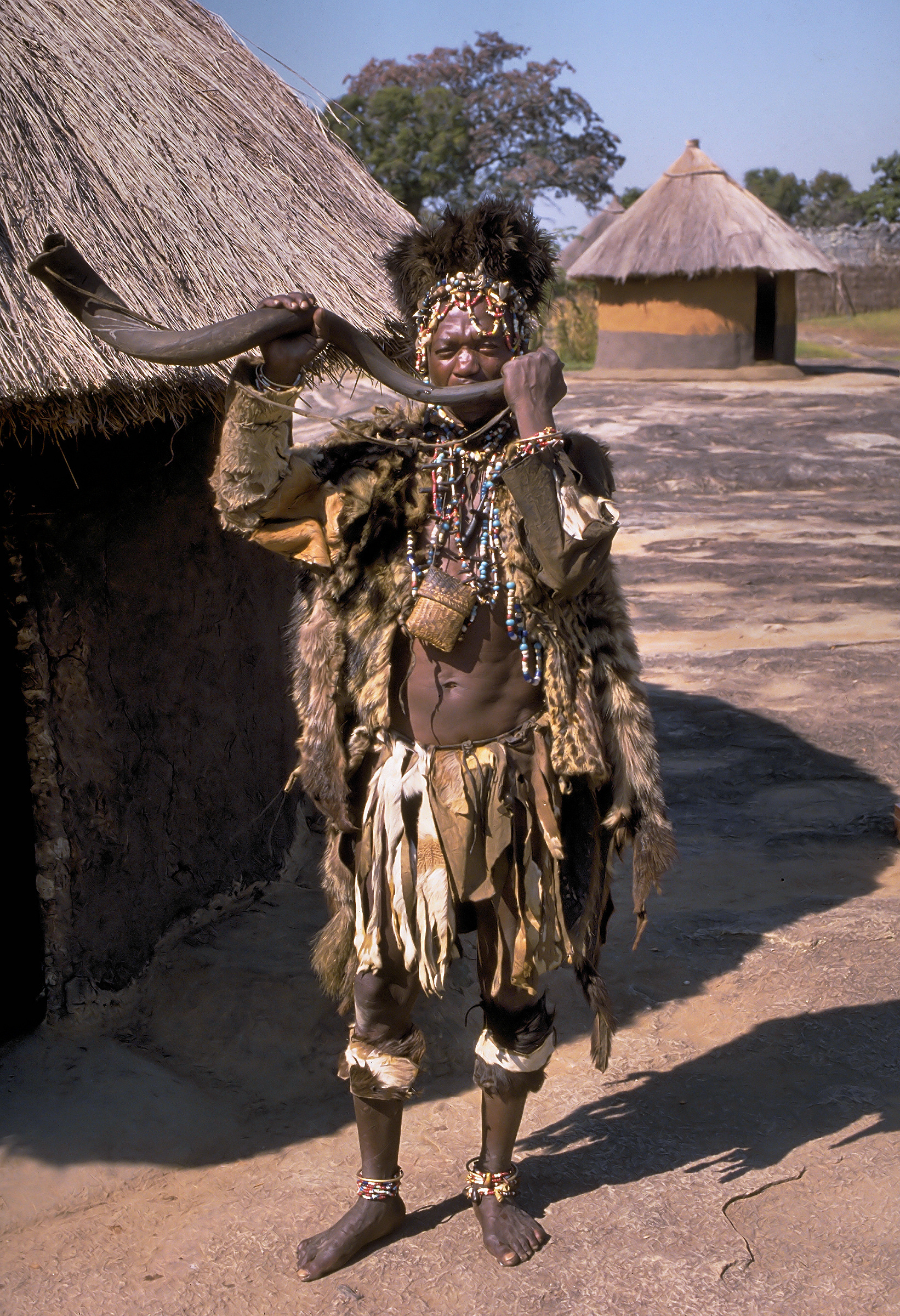 Zimbabwe Wild Heartbeat Facing New Fences (image credits: wikimedia)