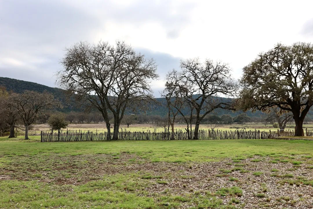 2. Texas Hill Country: Bigger Than You Think, Better Than You'd Guess (Image Credits: Unsplash)