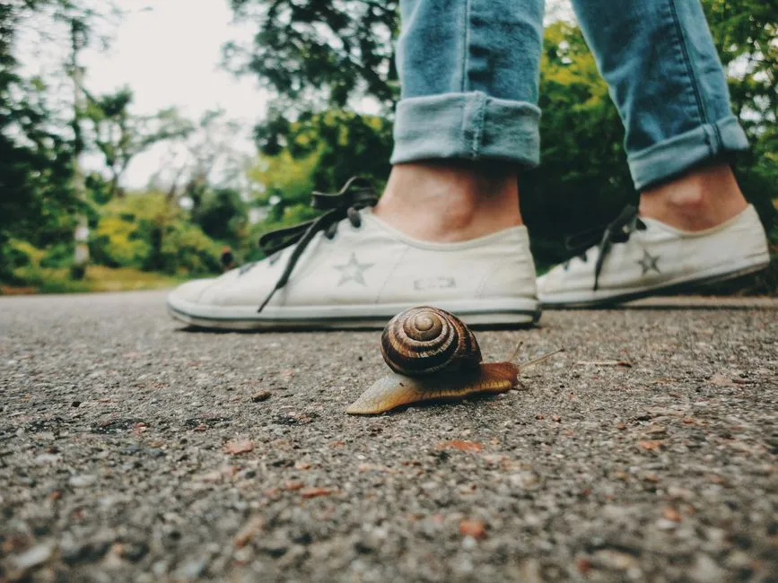 A Small Town That Earned Its Reputation Honestly (Image Credits: Pexels)