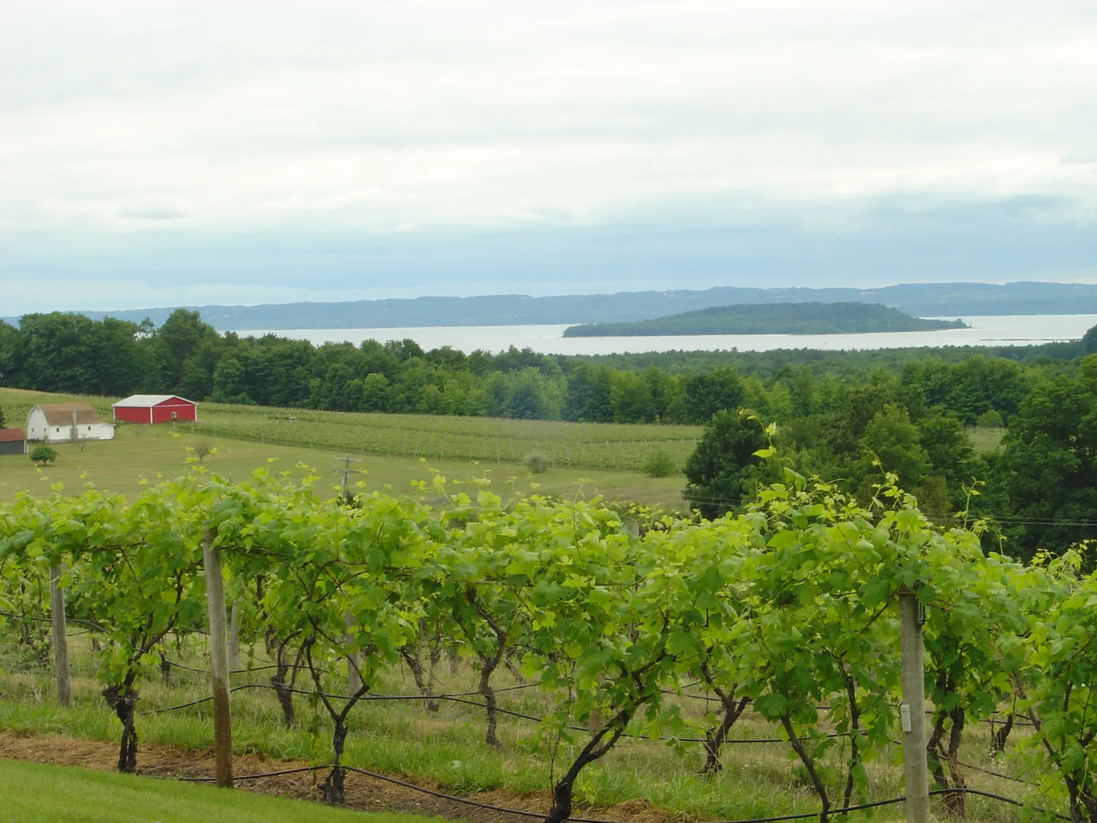 Old Mission Peninsula's Vineyard Drive (Photo by stanthejeep, CC BY-SA 2.5)