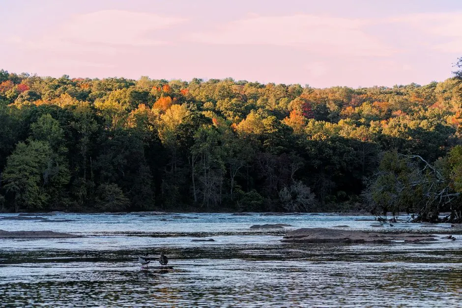 Scenic Drives Through the Chattahoochee (Image Credits: Pexels)