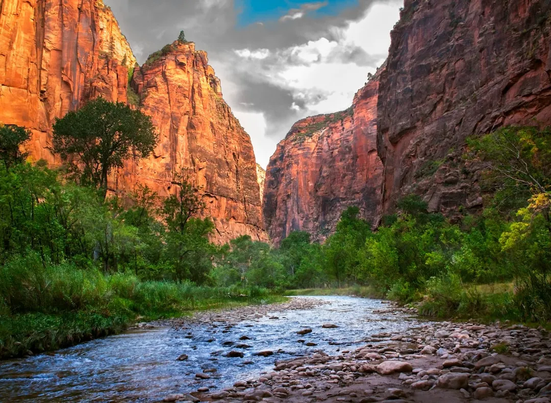 Zion National Park - Utah's Red Rock Labyrinth (Image Credits: Unsplash)