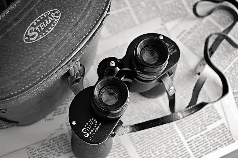 Keep Your Binoculars Around Your Neck, Not in Your Bag (Image Credits: Stocksnap)