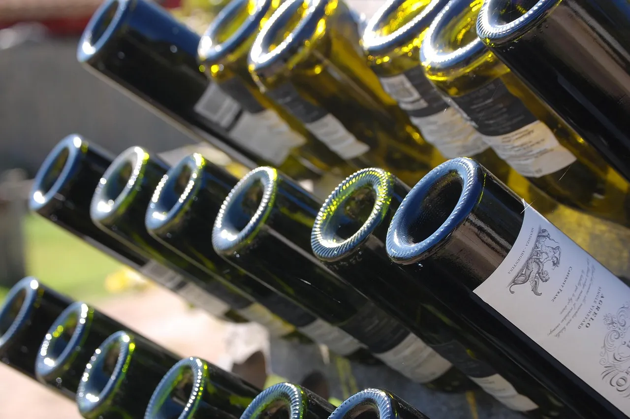 A Wine Capital That Keeps Opening Its Doors (Image Credits: Pixabay)