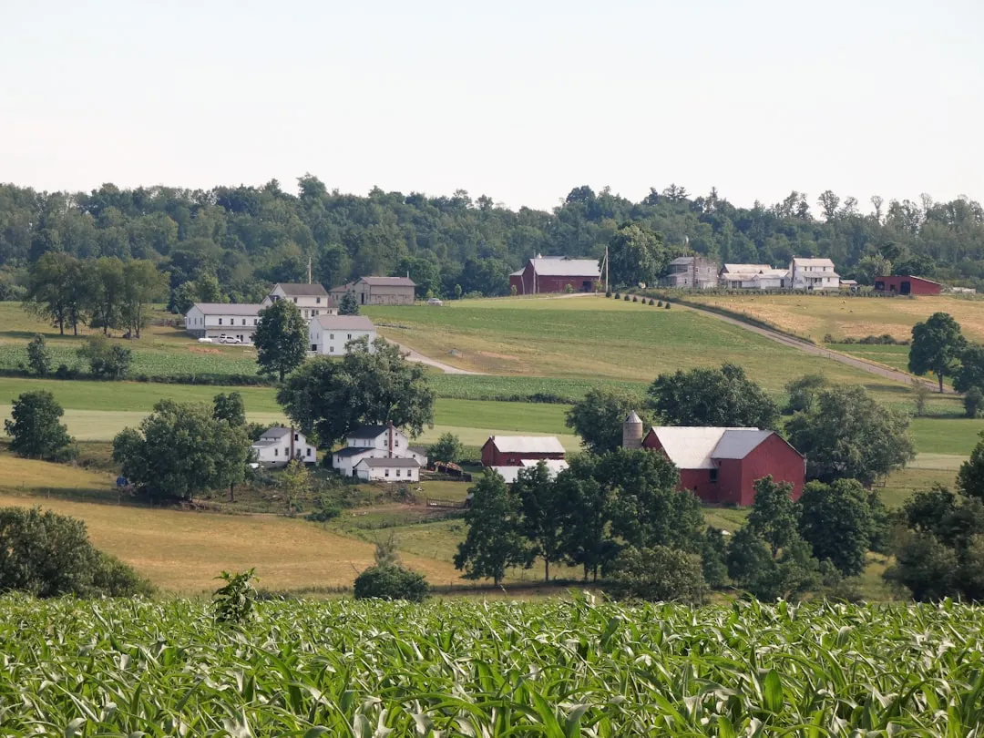 A Region Rich in Ohio's Wine Country (Image Credits: Unsplash)