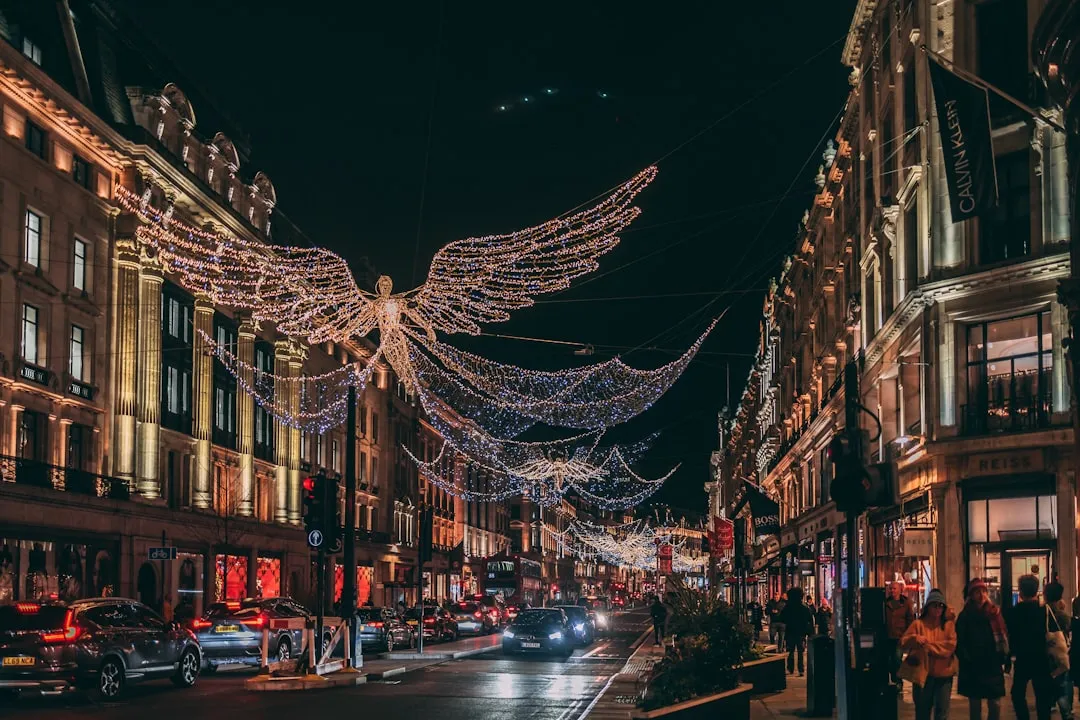 Planning Your Holiday Light Journey (Image Credits: Unsplash)
