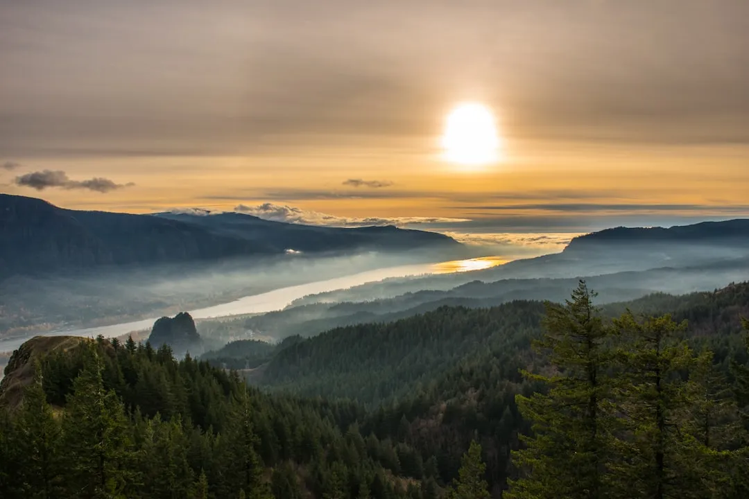 What a Floating Cabin Actually Looks Like Inside (Image Credits: Unsplash)